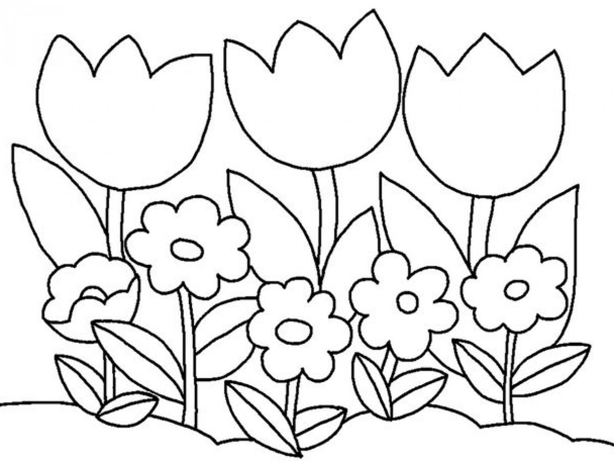 345 Tranh tô màu các loài hoa đẹp cho bé tập tô màu  Tranh Tô Màu cho bé
